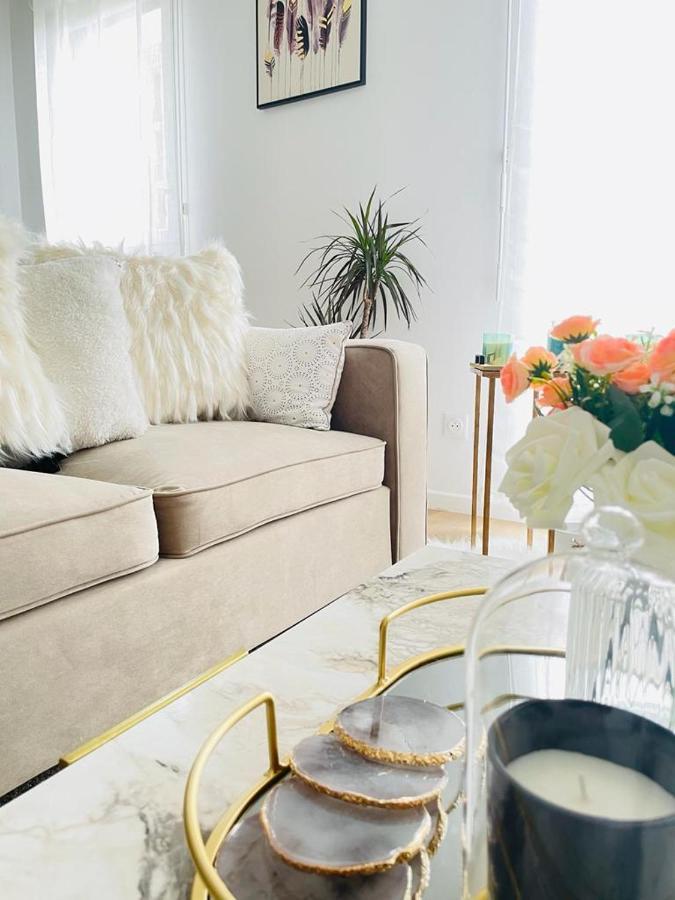 Magnifique Appartement 3 Pieces A Витри сюр Сен Екстериор снимка